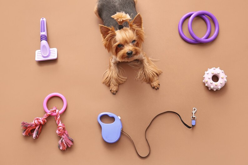 accessories for pets